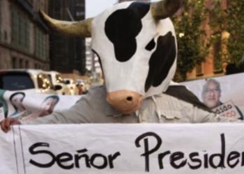 Trabajadores de Liconsa se manifiestan en Palacio Nacional