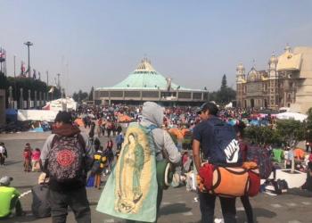 Basílica regalará rosas en recuerdo de la visita de Juan Diego a la Virgen de Guadalupe