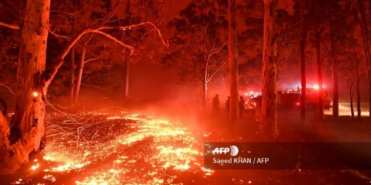 Sídney recibe año nuevo en medio de incendios forestales pero con show de pirotecnia: FOTOS