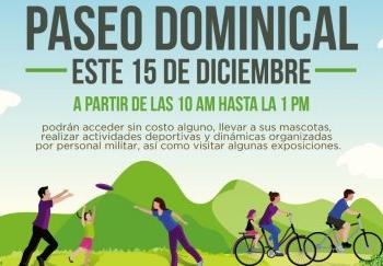 Todo lo que tienes que saber para asistir al Paseo Dominical