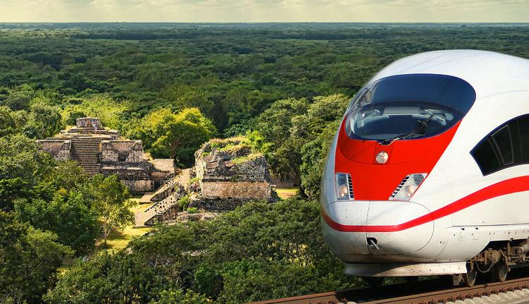 Inicia en enero licitación de Tren Maya