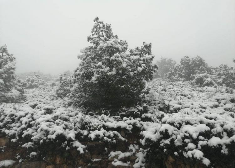 Así fue la primer nevada en Sombrerete: FOTOS