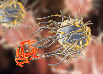 Esta es una imagen referencial. Foto: Getty Images