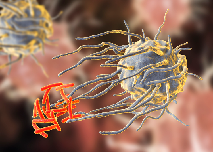 Esta es una imagen referencial. Foto: Getty Images