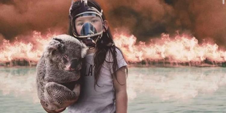 Mueren la mitad de la población de koalas en incendios de Australia