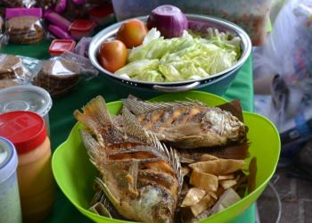 Destaca Expo Tilapia a Zacatecas libre de enfermedades acuícolas