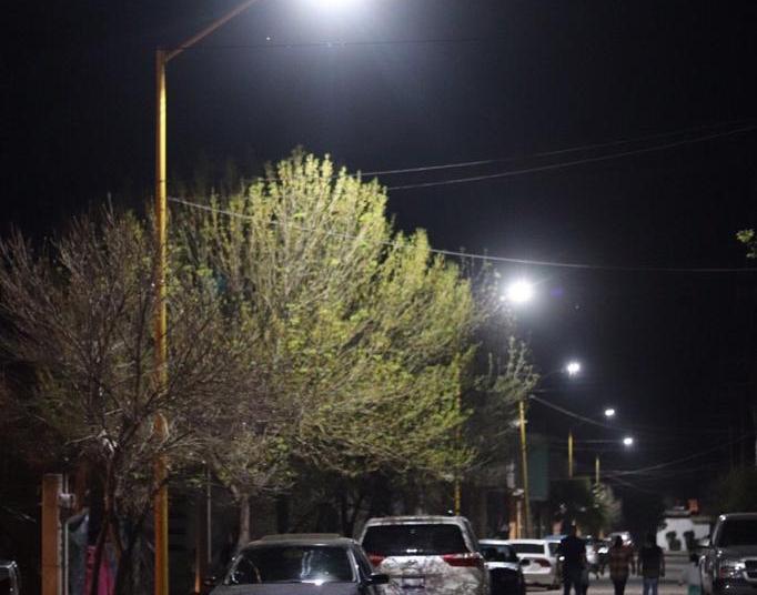 “Los Olivos” se iluminan en Fresnillo