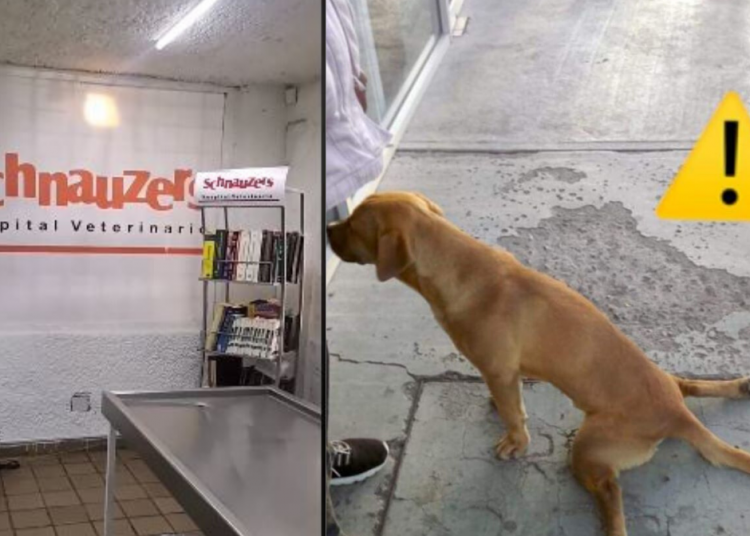 Organización demanda falta de comunicación por parte de Ulises Mejía