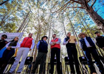 En Zacatecas trabajan en la preservación del águila real