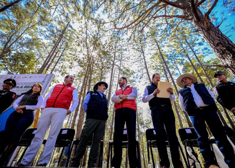 En Zacatecas trabajan en la preservación del águila real