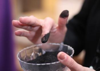 Ceniza. FOTO Landy Valle