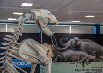 Exhibición interactiva “Megabestias del Pasado” estará dos semanas más