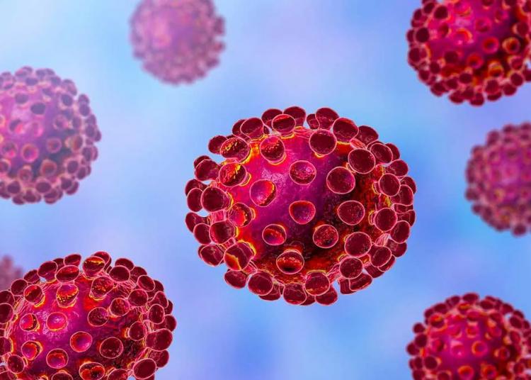 Covid-19 puede sobrevivir en el aire 30 minutos