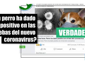 Lo que sabemos del perro que dio positivo al nuevo coronavirus