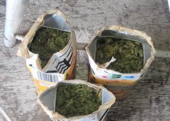 Intentan ingresar marihuana al Cerereso de Cieneguillas y los detienen