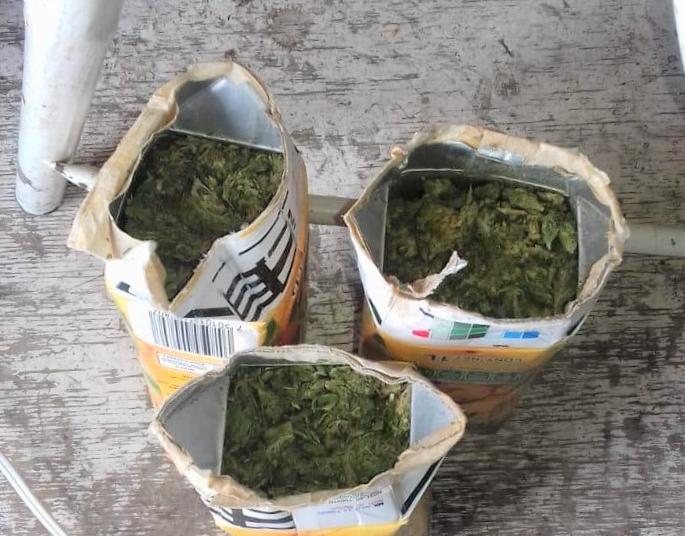 Intentan ingresar marihuana al Cerereso de Cieneguillas y los detienen