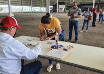 Inicia Sedesol entrega de mil 500 créditos a pequeños comerciantes