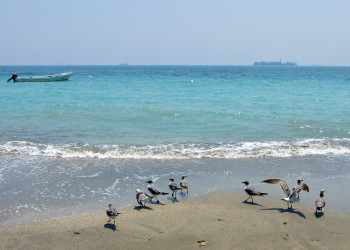 Playas de Veracruz regalan postal con tono azul turquesa: FOTOS