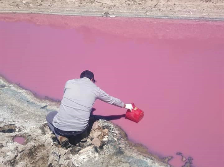 Agua rosa en Chichimequillas causada posiblemente por microorganismos