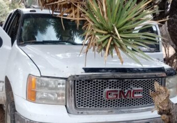 Aseguran armamento, siete vehículos y marihuana: hay un detenido