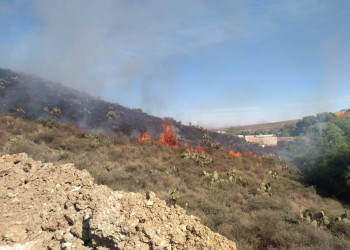 Reporta PC 262 incendios, mayoría provocados por el hombre