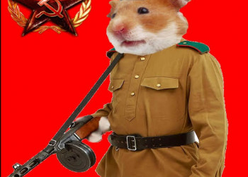 Paty Navidad llama “rata amarilla” a Zacatecas; reacción en MEMES