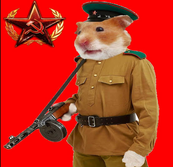 Paty Navidad llama “rata amarilla” a Zacatecas; reacción en MEMES