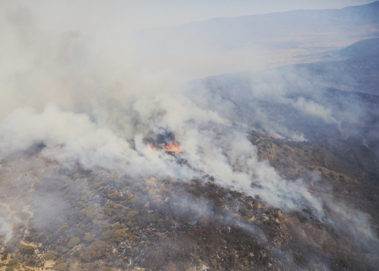 Afecta incendio en Villanueva a más de 3 mil hectáreas
