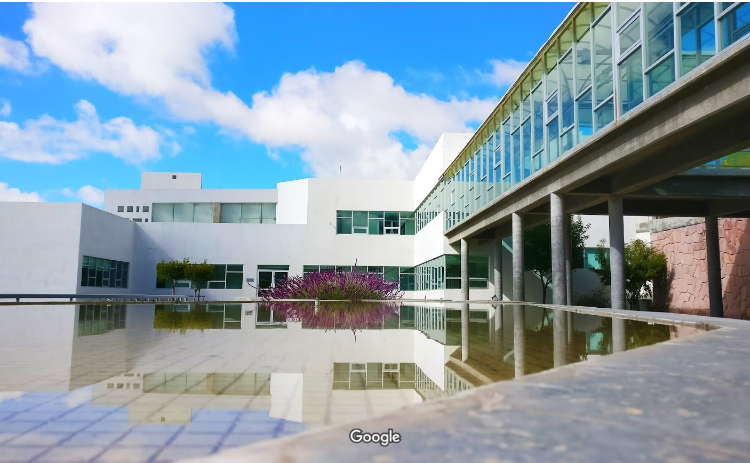 Docentes de la UAZ piden donar 800 mil pesos del Día del Maestro para Covid-19