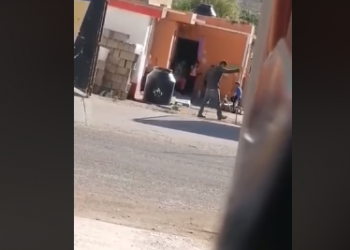 Investigan maltrato animal en Zacatecas; la pena es de hasta 3 años de cárcel
