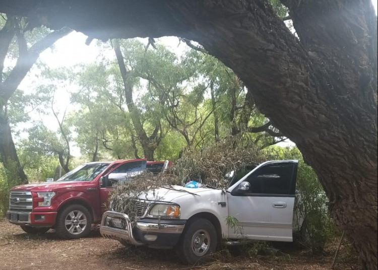 Aseguran armamento y cuatro vehículos en Fresnillo