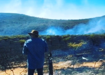 670 hectáreas consumidas tras incendio en propiedad de Pepe Aguilar