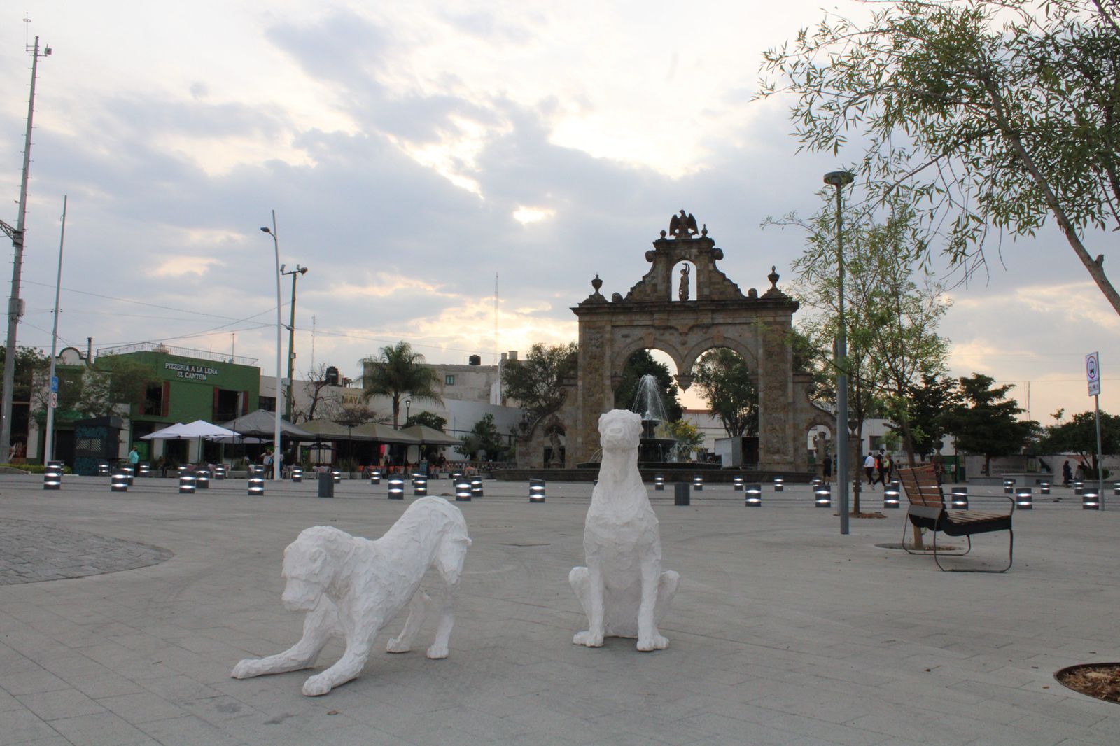Con “Paseo Perrón” buscan reflexionar sobre el maltrato y abandono animal