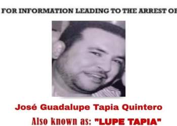 Capturan a José Guadalupe Tapia Quintero “El Lupe”, operador del “Mayo” Zambada
