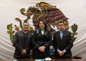 Ineficiente el sitio web del congreso; proponen corregir fallas