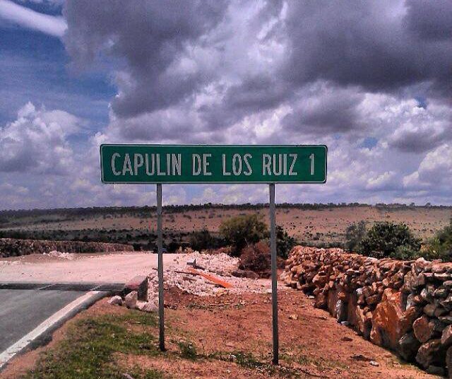 Hallan cuerpos sin vida en la comunidad “El Capulín”