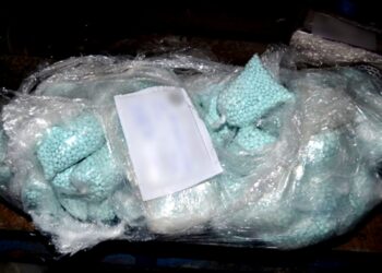 FGR destruye 70 toneladas de narcóticos en Sinaloa