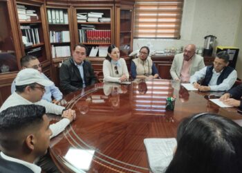 La despenalización del aborto se va a Parlamento Abierto