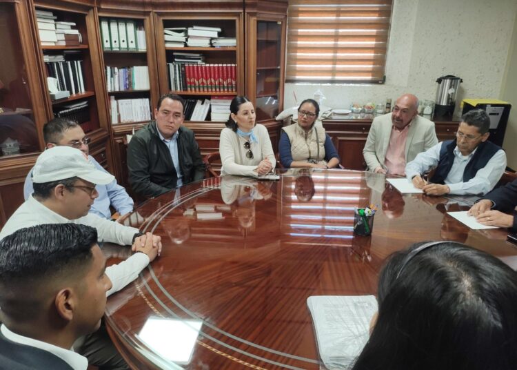 La despenalización del aborto se va a Parlamento Abierto