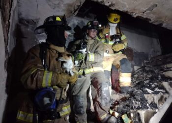 Rescatan a tres mascotas tras incendio en Guadalupe