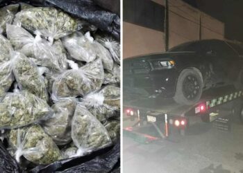 SSP presume “fuerte golpe al tráfico de drogas”: detienen a 6 con 98 kilos de marihuana