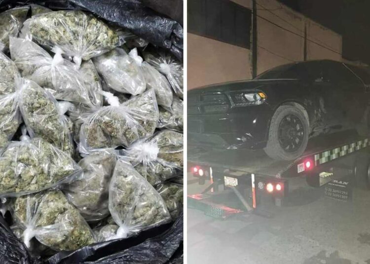 SSP presume “fuerte golpe al tráfico de drogas”: detienen a 6 con 98 kilos de marihuana