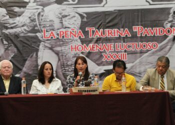 Amamos y defendemos la tauromaquia: Mar de Ávila Ibargüengoytia