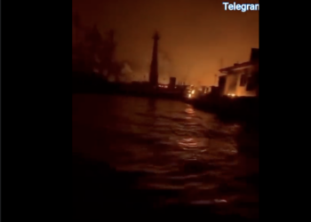 Se arrojan al mar para salvarse de los incendios forestales en Hawái