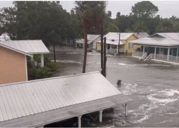Alerta por huracán Idalia; toca tierra en Florida como categoría 3