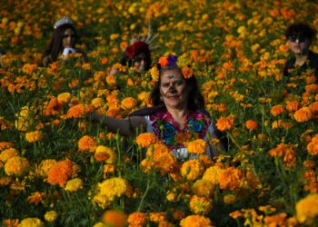 Festival de Cempasúchitl y altares de muerto, en Guadalupe