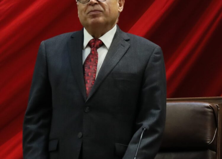 Si no hay presupuesto para el Nuevo Sistema de Justicia Civil y Familiar, fracasará: Nahle