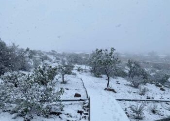 Suspenden clases en Sombrerete por nevada