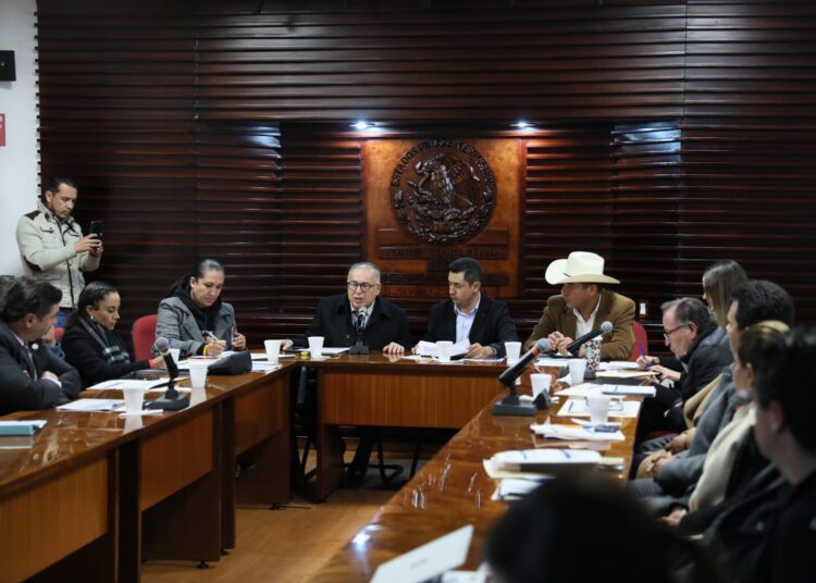 Inexplicable que el Ejecutivo proponga reducir el presupuesto al Tribunal: Nahle