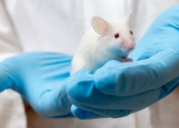 Alerta por experimento con cepa mutante de Covid que daña el cerebro y es 100% mortal